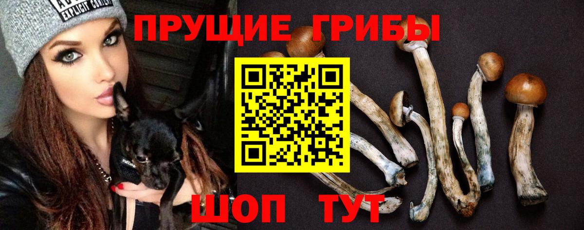 Галлюциногенные грибы Cubensis  Вход с VPN  Топки 