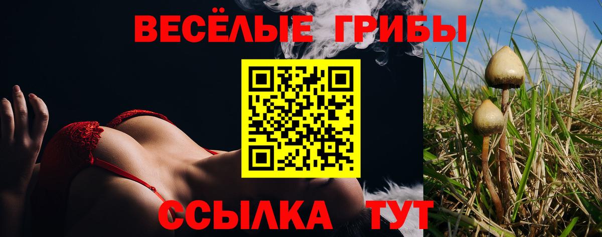 Галлюциногенные грибы Psilocybine cubensis Топки